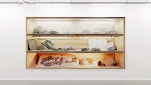 Olivier Jonvaux - Shelf-Camera